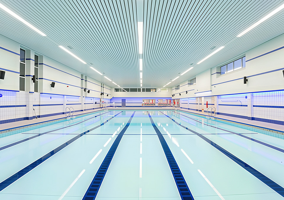 work-project_image03